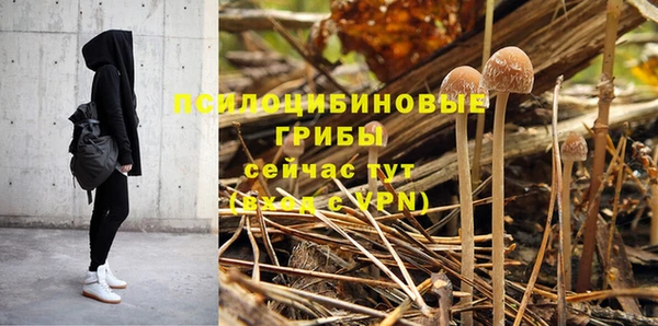 ALPHA-PVP Бугульма