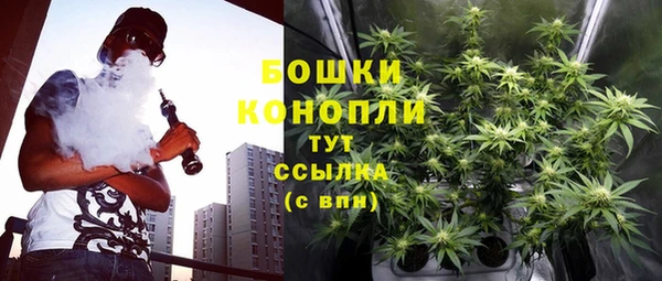 спайс Бородино