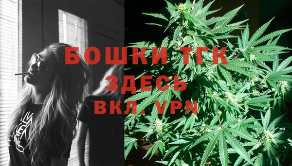ALPHA-PVP Бугульма