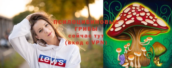 ALPHA-PVP Бугульма