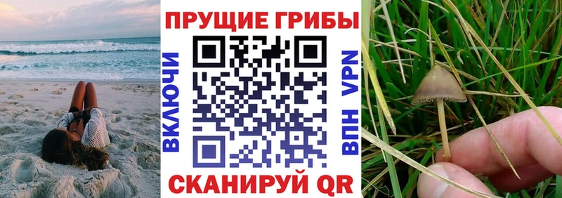Псилоцибиновые грибы мицелий  наркотики  omg как войти  Верхний Уфалей 